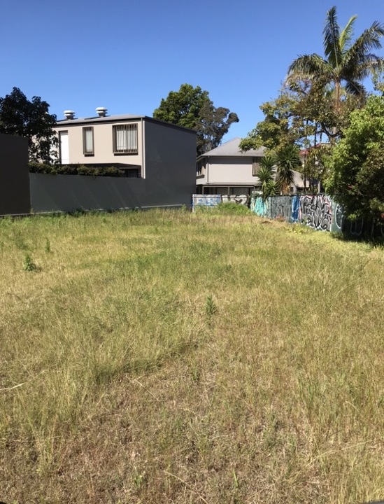 Overgrown block recovered by slashing and mowing