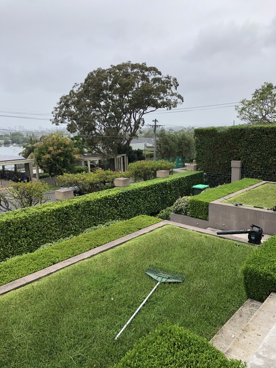 Backyard lawn after a mow and edge by Sydney Gardeners