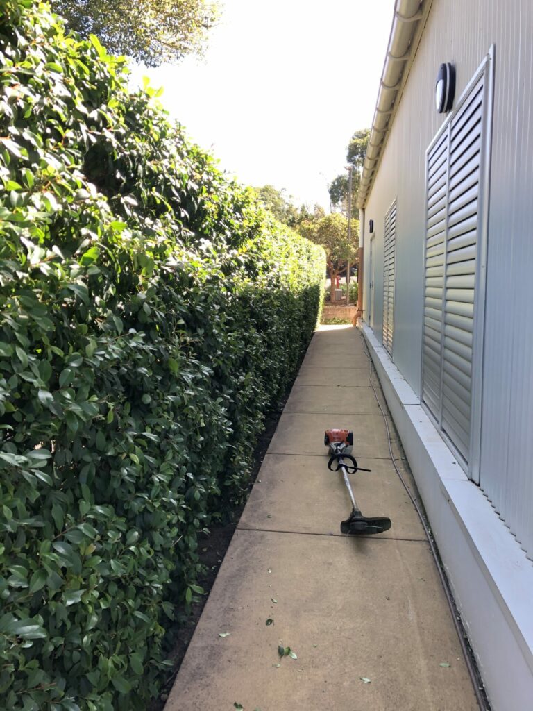 Maintained strata complex garden beds and communal lawn, Sydney