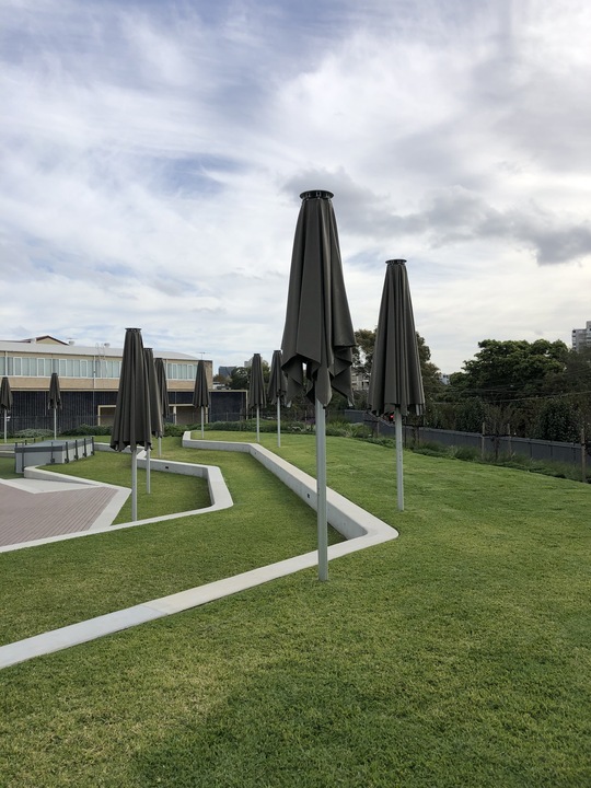 Sydney lawn freshly mown with clean edges along a garden bed