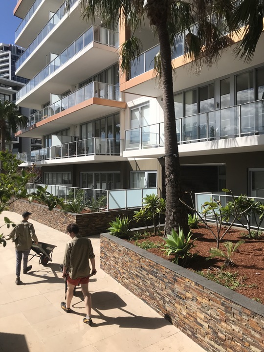 Maintained frontage garden by Sydney Gardeners